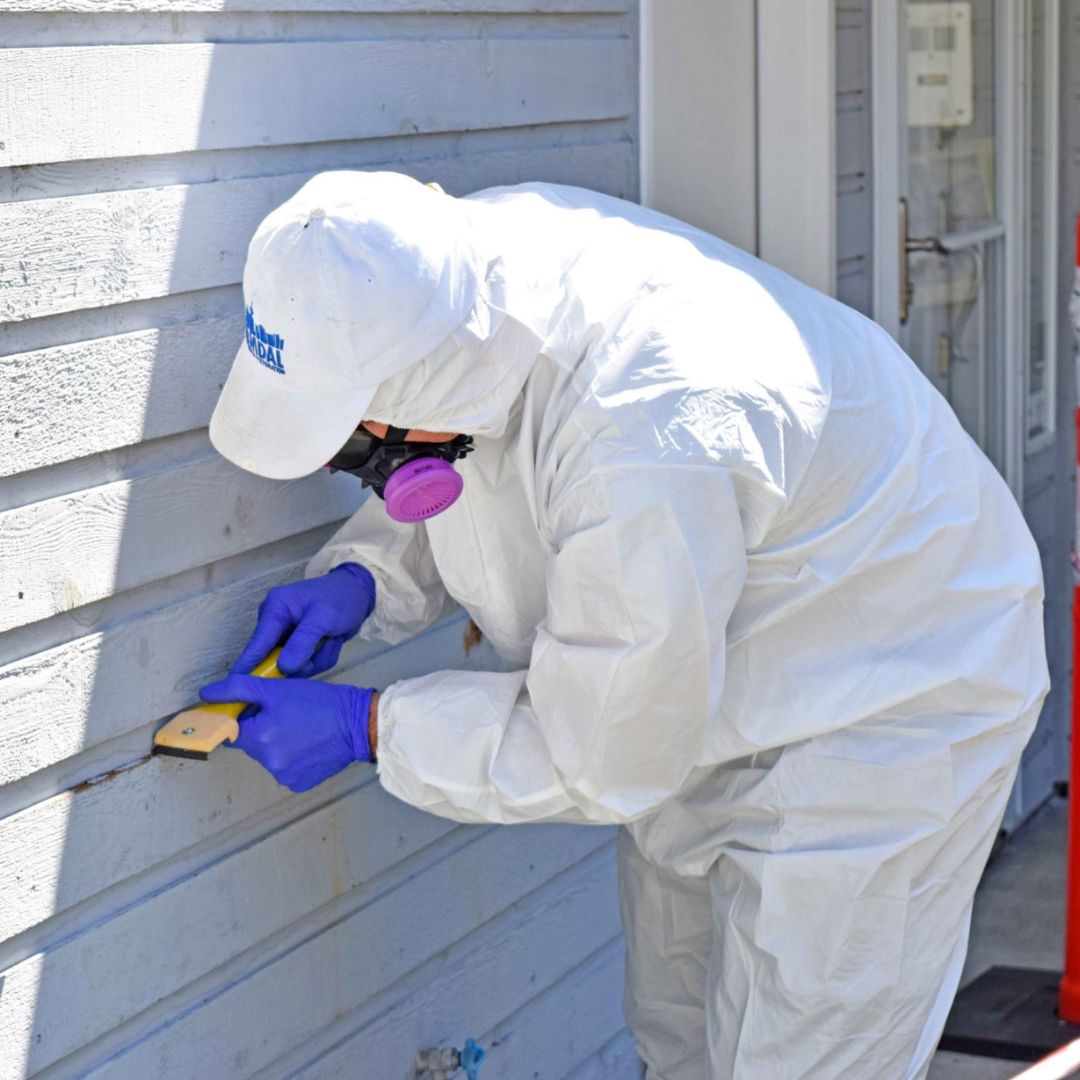 The Evolution of Paint Coatings and the Importance of Safe Commercial